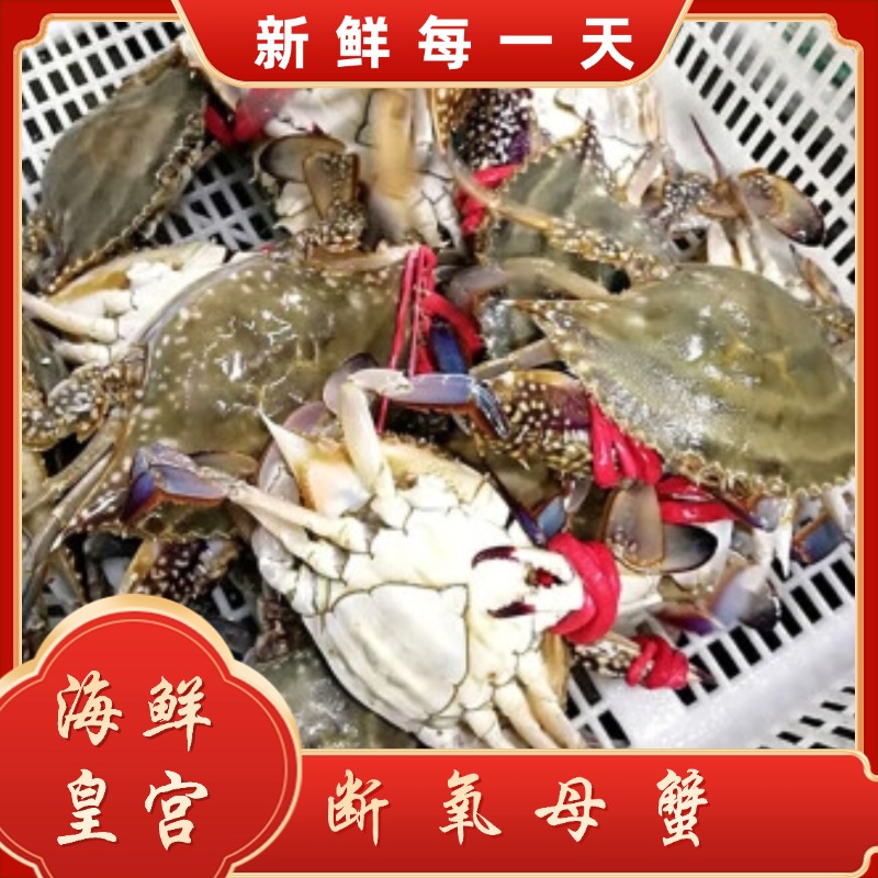 【保鲜不保活】断氧母蟹 梭子蟹残蟹每斤2-4只（每只3-7两）2斤-6斤