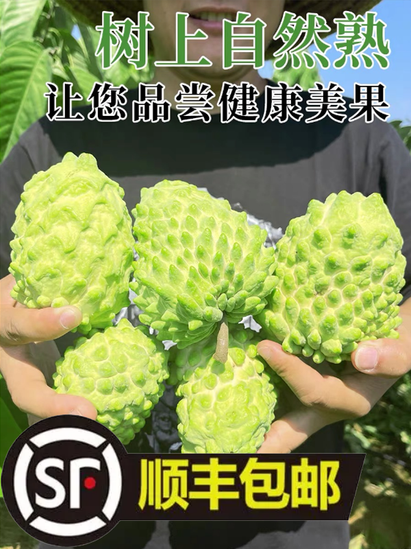 【一斤小果】牛奶凤梨释迦果摩尼佛头果大目番荔枝新鲜现摘