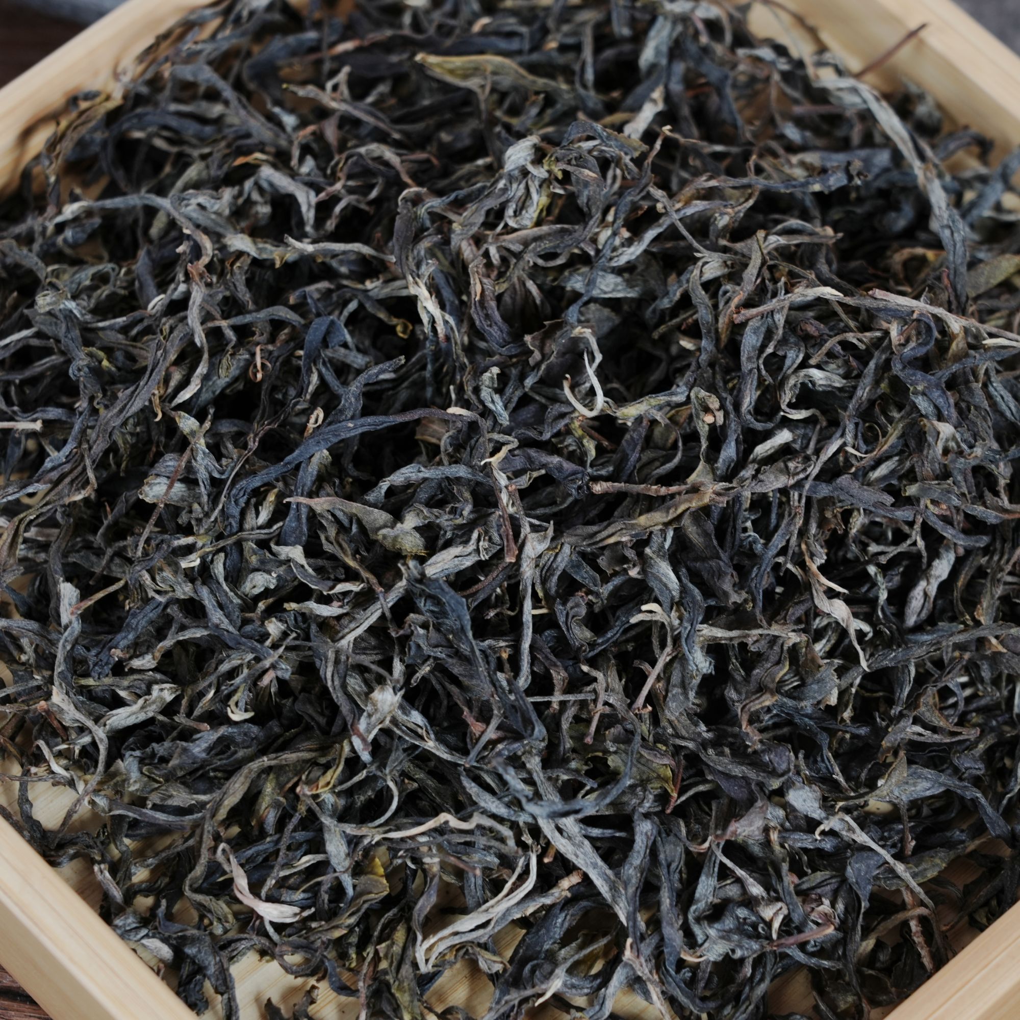 【刮风寨茶王树】易武刮风寨2025年头春挑采纯料散料普洱茶