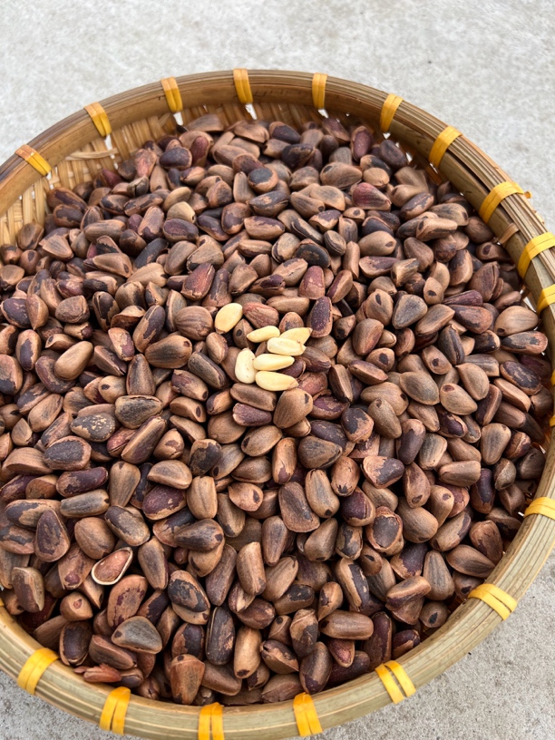 长白山野生红松子原味开口松子500克