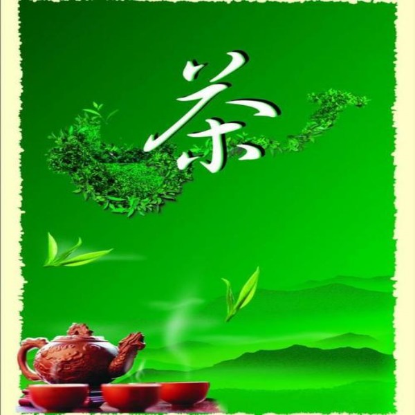 龙舒九一六绿茶   舒城小兰花  兰花形  兰花色  兰花香 甘醇爽口