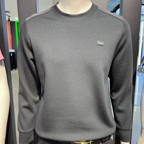 8788秋季轻奢高端百搭卫衣