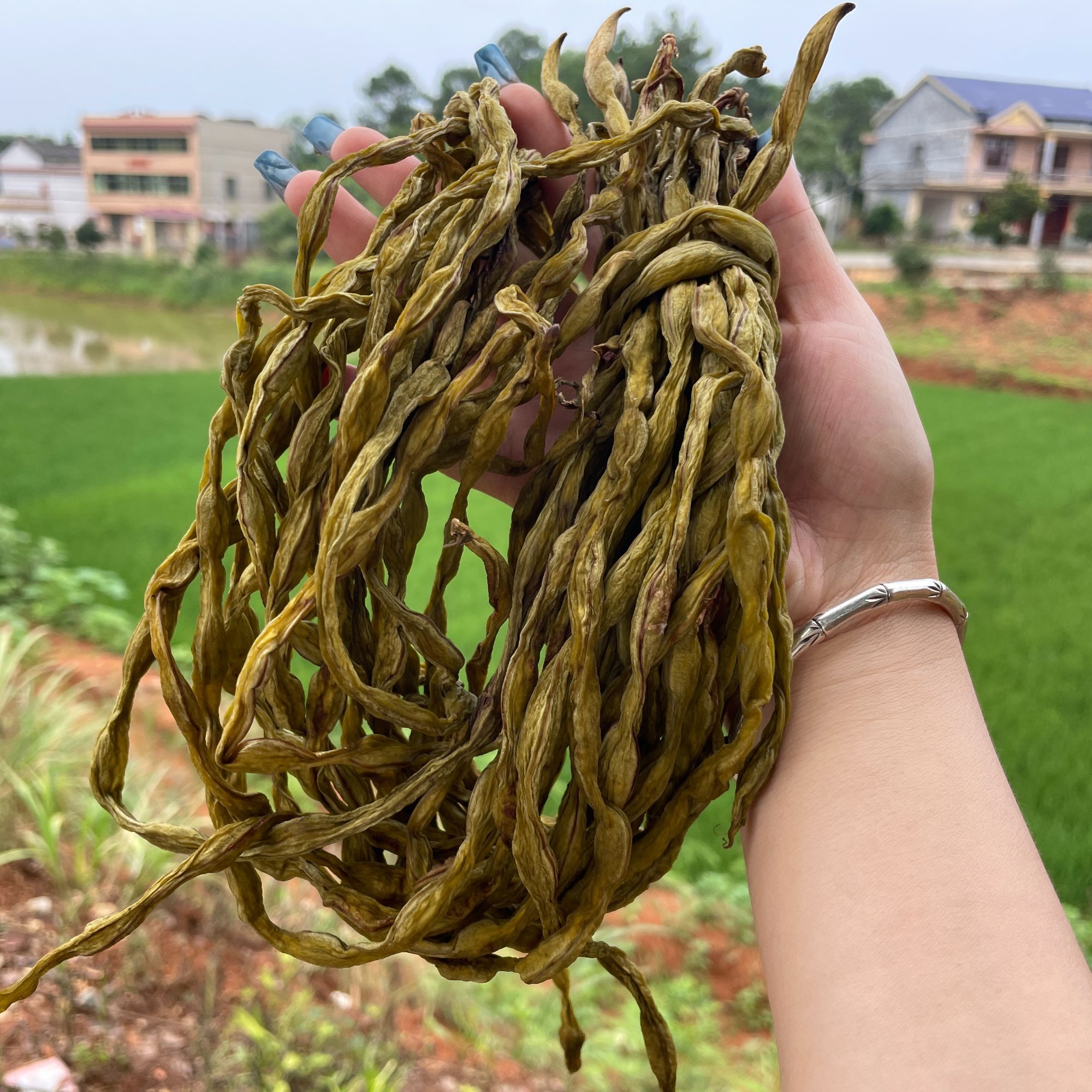 自家晾晒干豆角250克一袋