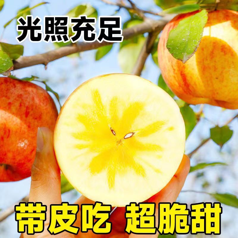 【爆甜】甜脆红富士苹果新鲜当季丑苹果冰糖心农家自然脆甜包邮发货