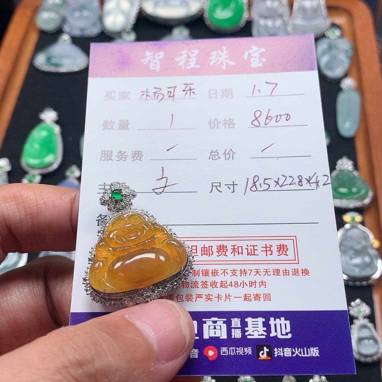 【闪购商品】翡翠颈饰未镶嵌杨*乐