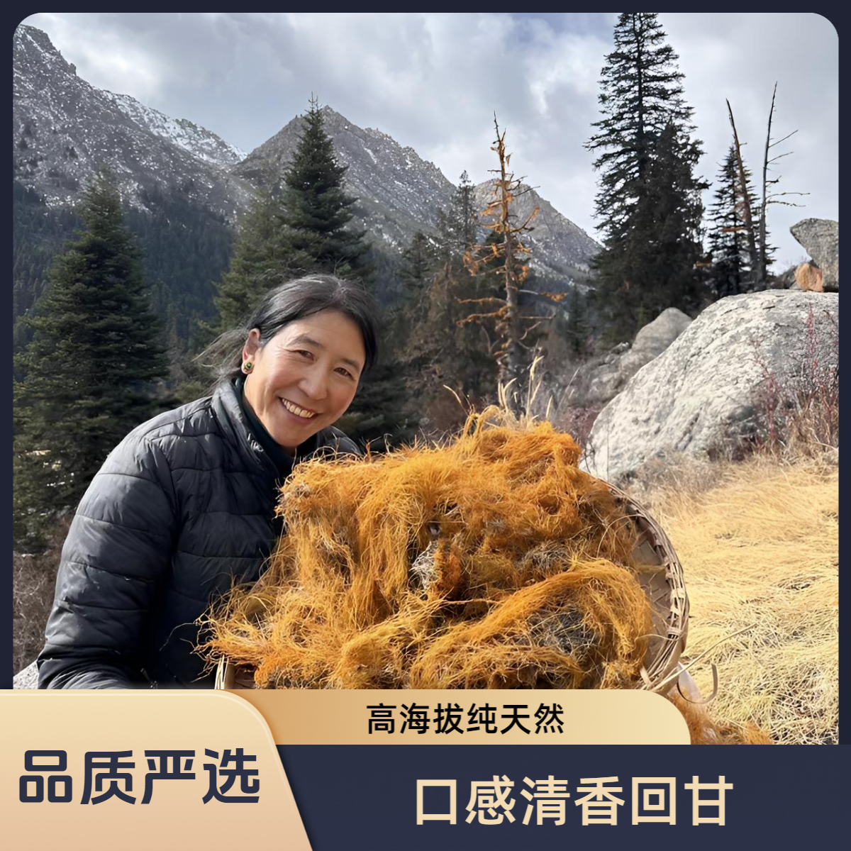 高原红雪甘孜金丝农产品食用精选高海拔严选特产礼盒