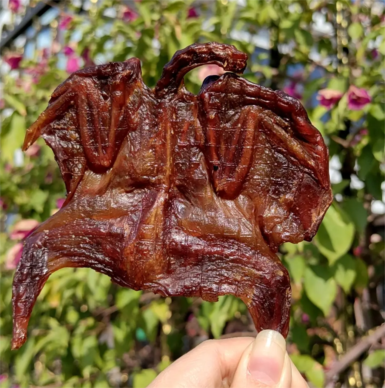 小鹌鹑 温州正宗腊味 35-45克/只 酱晒小鹌鹑 腊味酱香肉