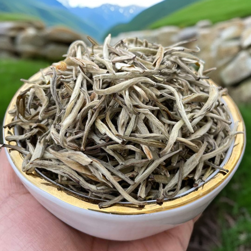 金针王茉莉花茶大银针清香纯正新茶手工浓香型香浓新鲜好茶