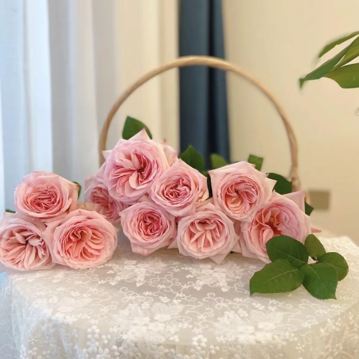 任意鲜花一份或养护套装一份