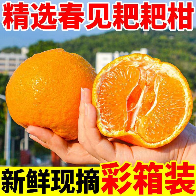 【春见耙耙柑】正宗四川眉山耙耙柑新鲜应季水果皮薄爆汁现摘现发