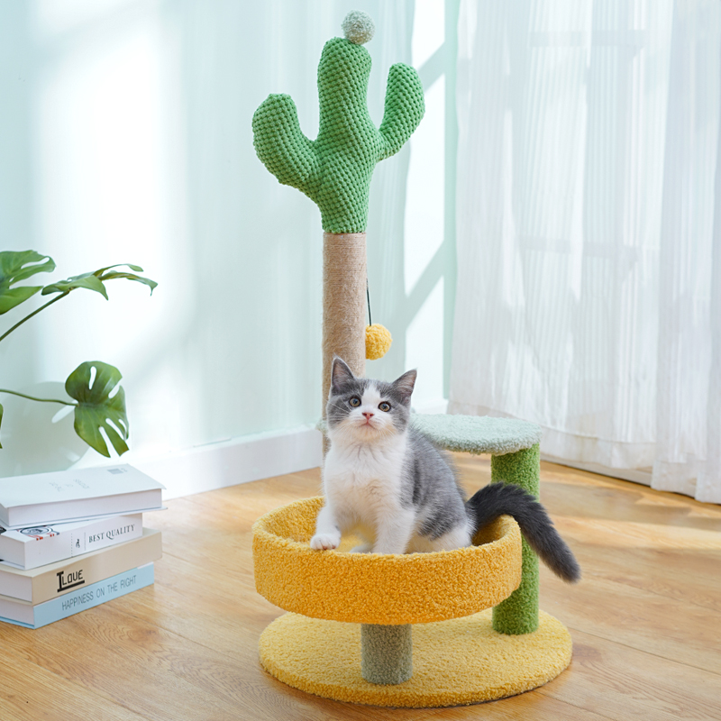 喵仙儿养宠装备升级款新仙人掌卡通神器逗猫神器耐用耐抓猫爬架