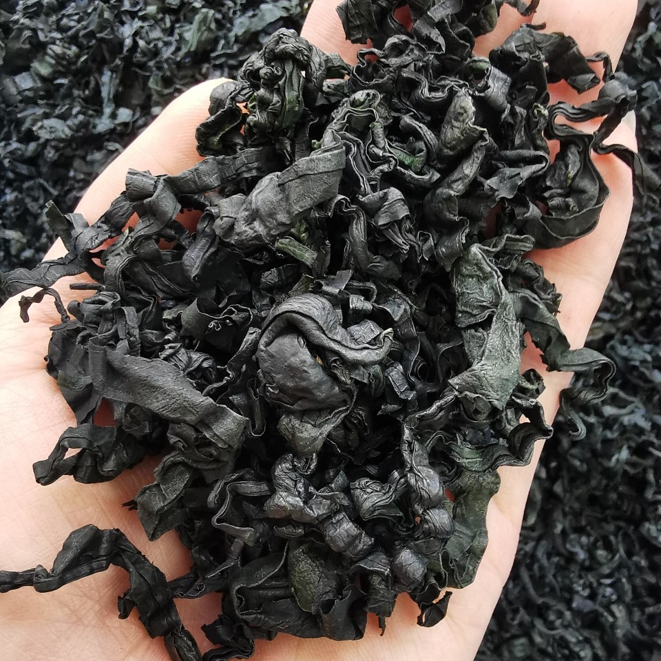 【裙带菜干】无沙螺旋藻干货 免切出口级 海藻100g-500克凉拌煮面