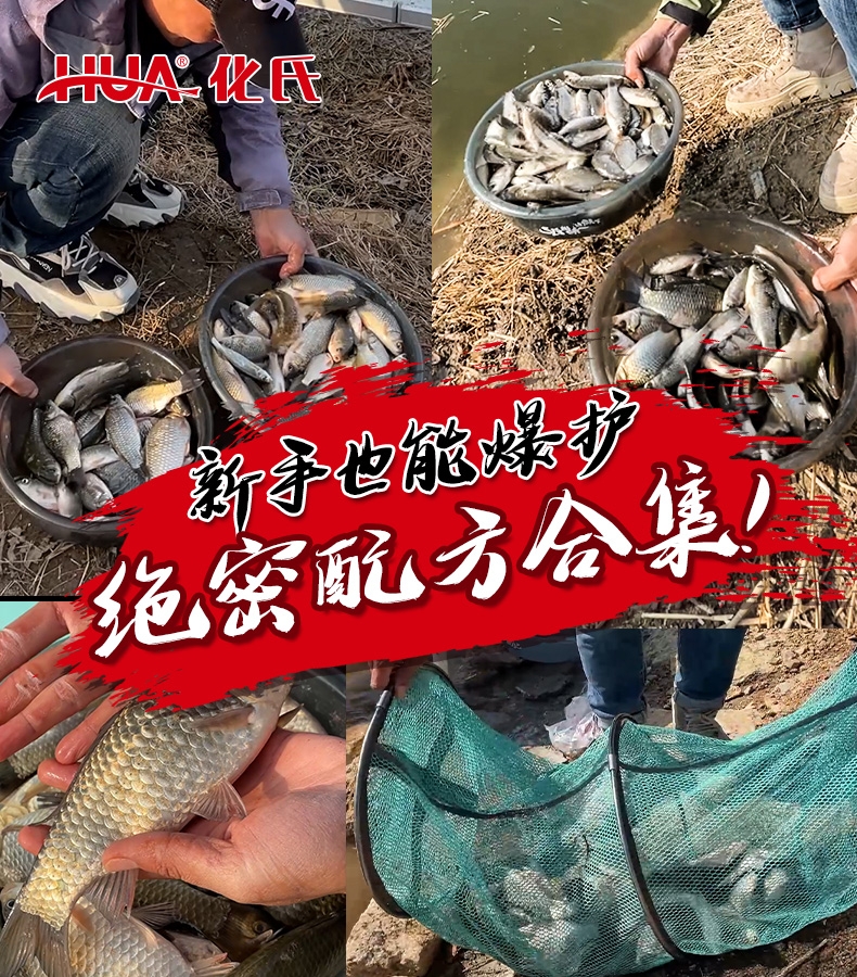 小惠推荐鱼饵配方钢弹2号化四化六野钓腥香拉饵鲫鱼打窝鱼饵料