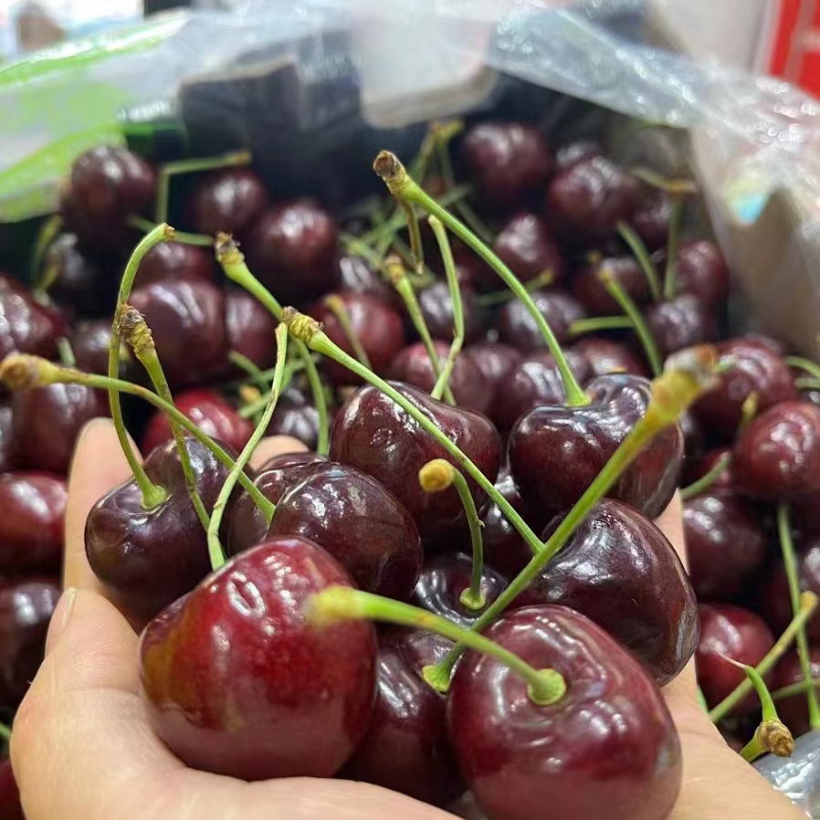 【瑞吉娜Regina】空运智利新鲜车厘子2～4J原装箱5斤（内附果径卡）