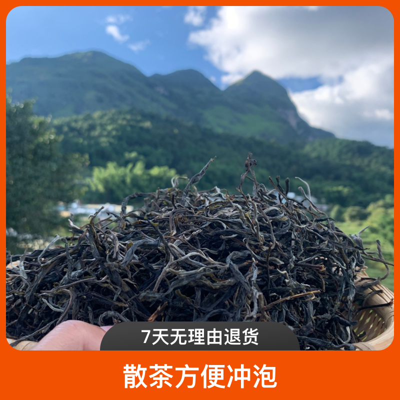 2022 年忙肺正山核心区古树秋散茶  500克装