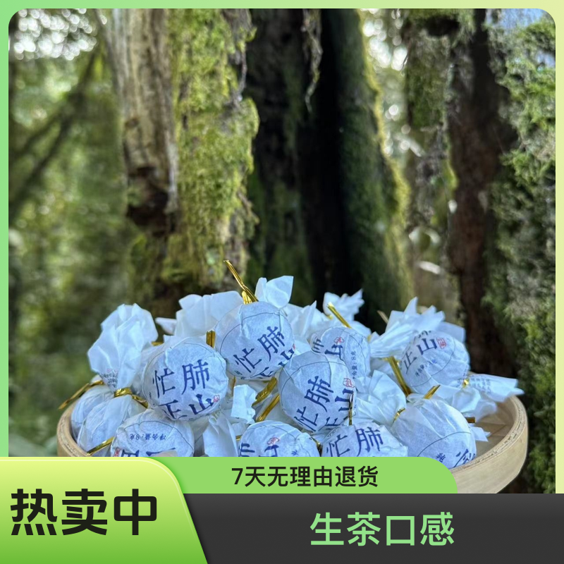 2023忙肺正山核心区古树秋龙珠（普洱生茶）