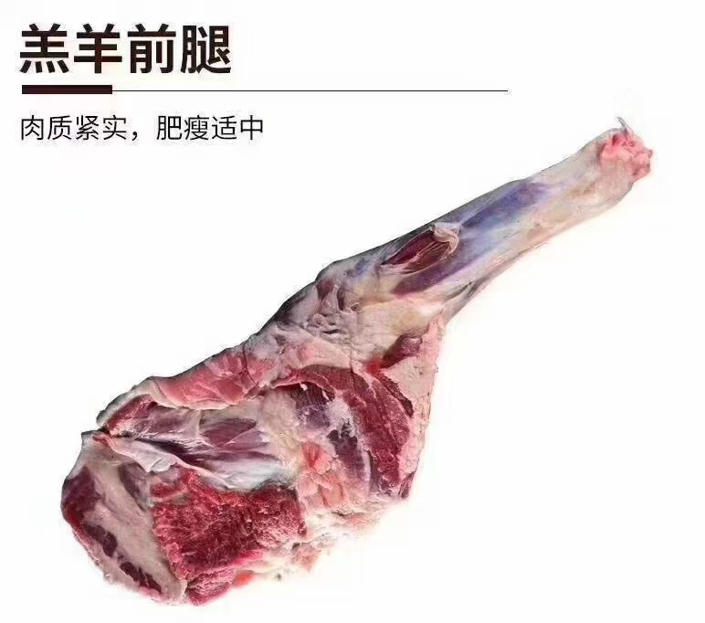 呼伦贝尔精品羊排羊腿组合