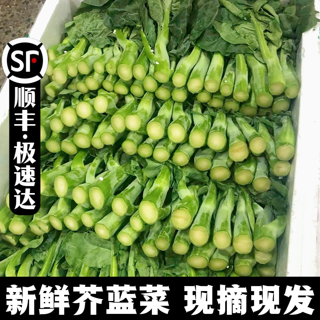 顺丰包邮广东增城芥兰芥蓝园现摘现发新鲜正宗原产地供坏包赔