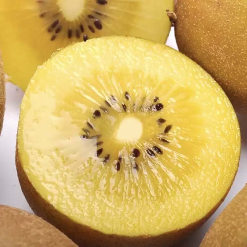 【同城快递】【阳光金果/奇异果~礼盒装】果肉细腻多汁!