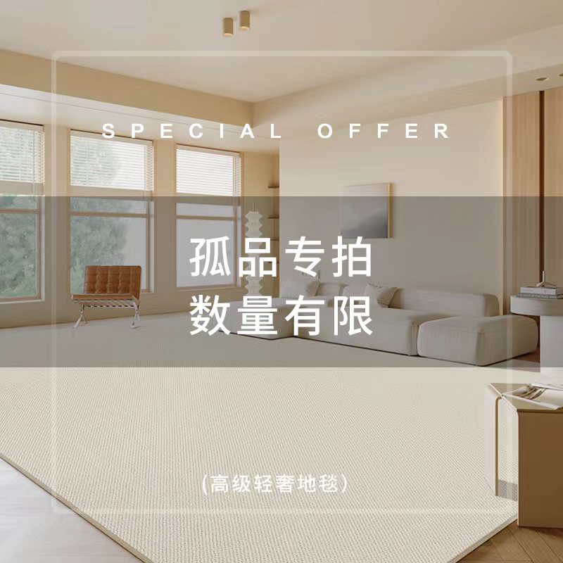 编号51-100现代简约大气床边床尾客厅大地毯大面积客厅室内地毯