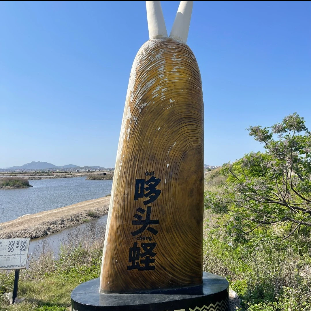 莆田特产哆头蛏现挖现发鲜活蛏子（中蛏口感较好）