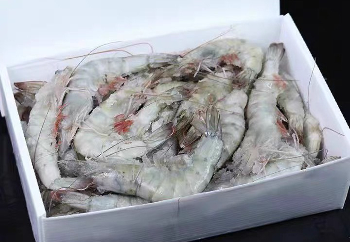 桑塔盐冻大虾顺丰包邮