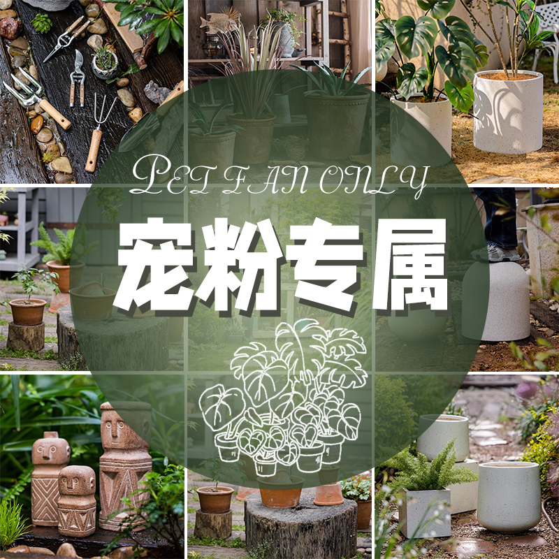 代码B [秋语]花瓶花盆宠粉专拍仅直播有效