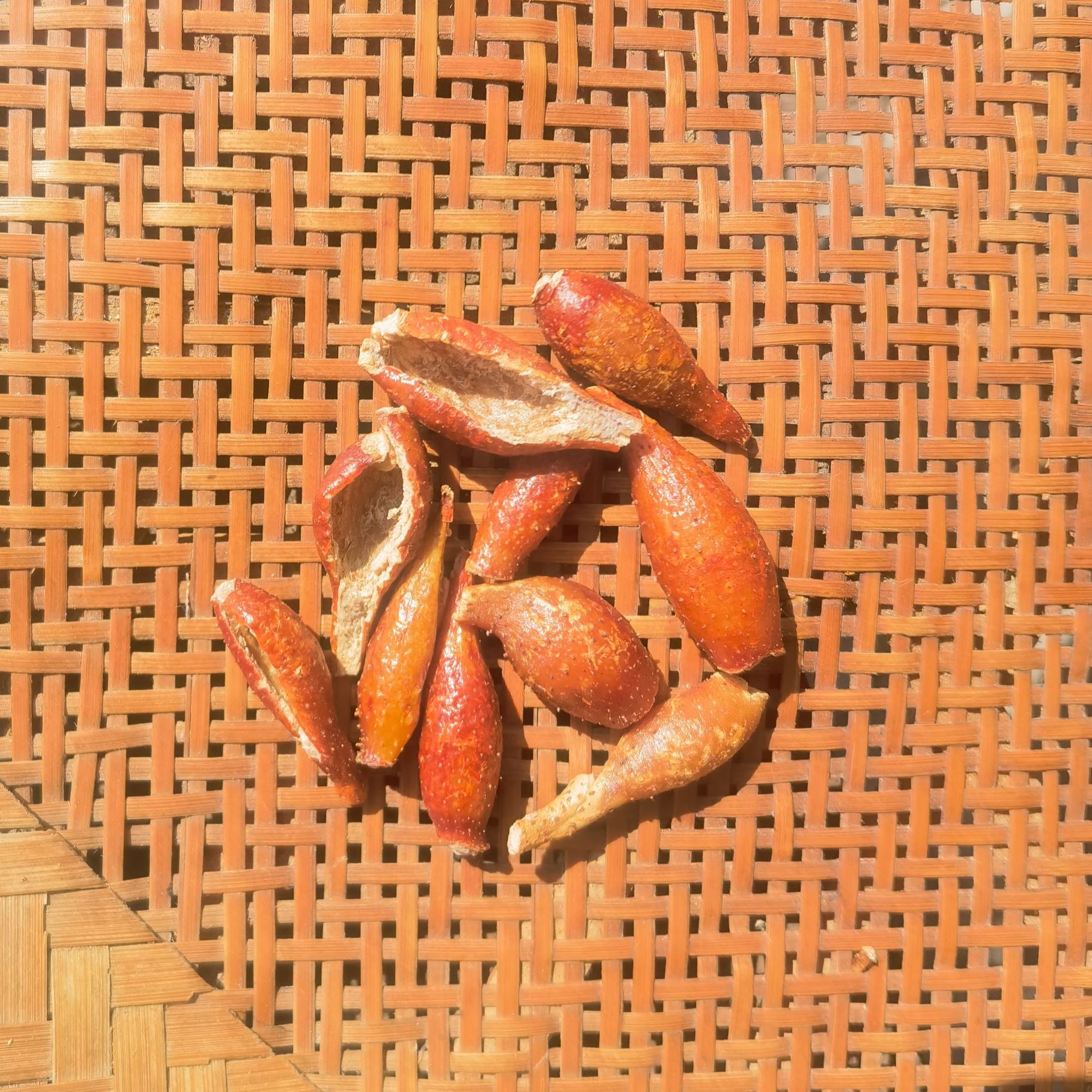 花草根果一物一拍