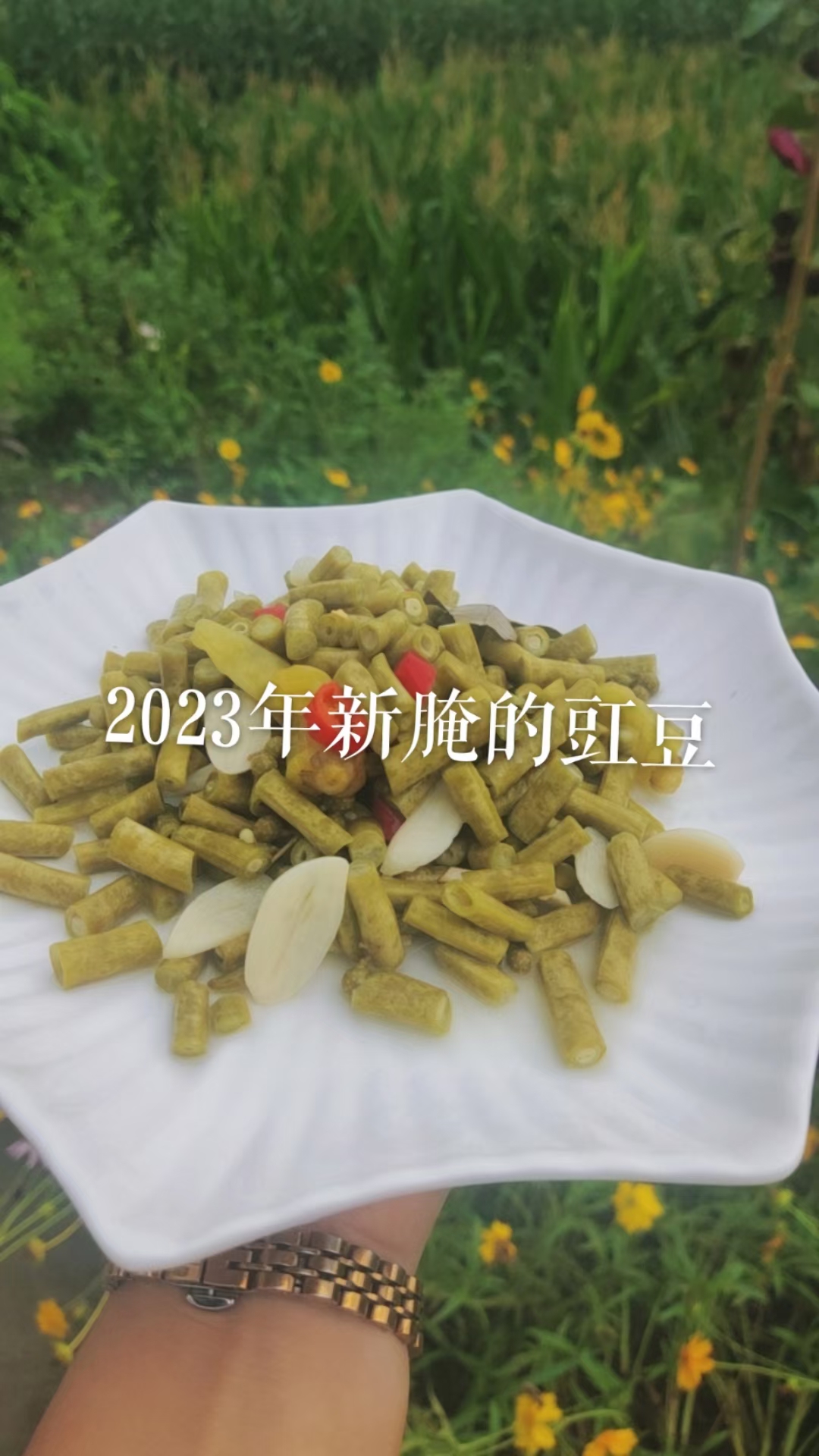 竹溪农家本地特色散装酸豇豆发货---每袋500克称重