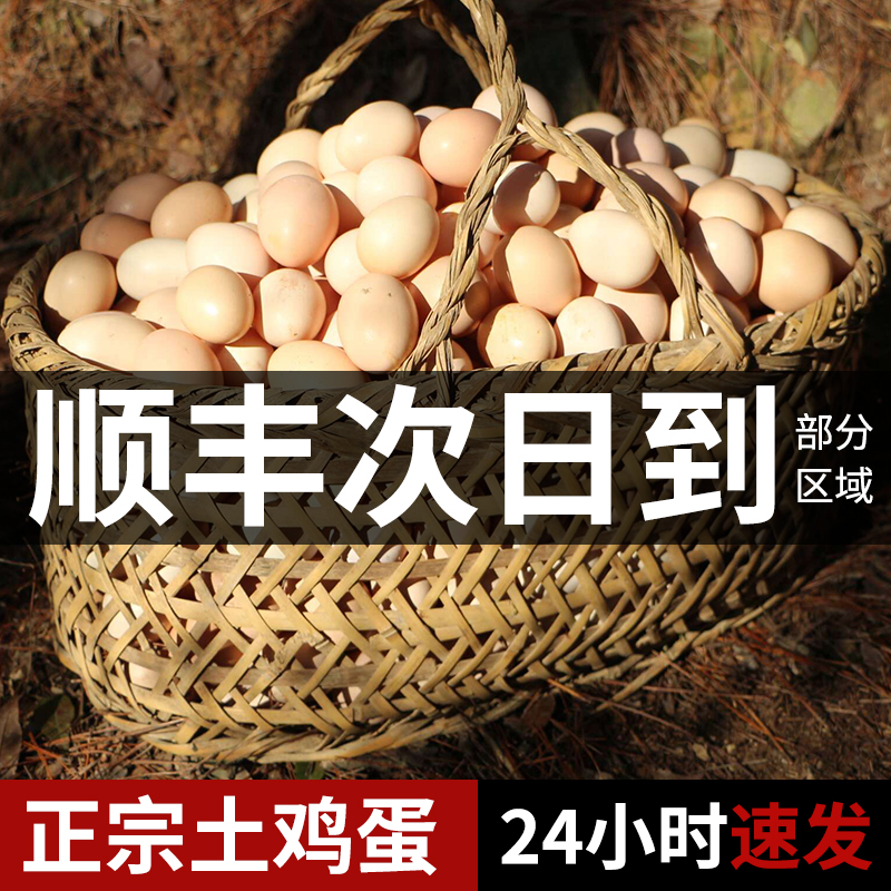 鸡蛋土鸡蛋营养好吃正宗新鲜散养土鸡蛋30枚农家鲜草柴乌鸡蛋整箱