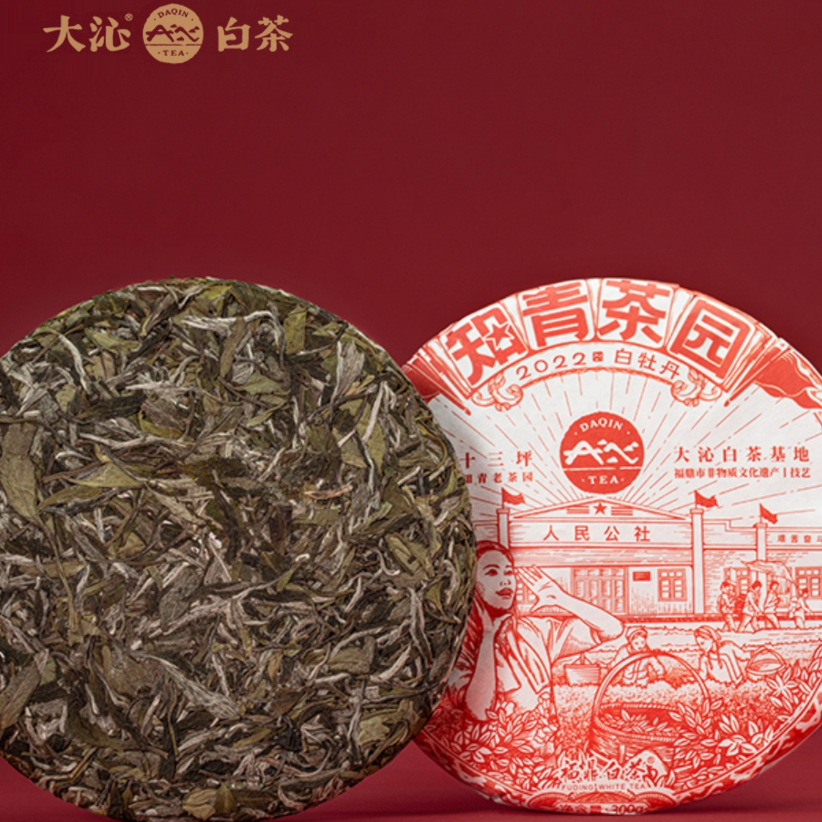 大沁白茶知青系列正宗福鼎白茶2022年一级花香白牡丹饼300g茶叶