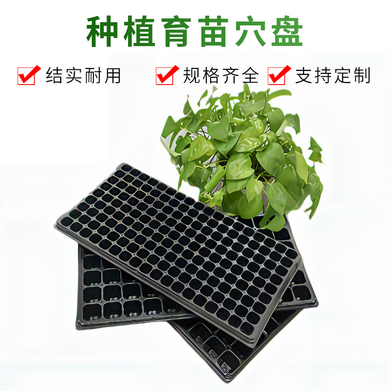 葆世杰162孔厂家批发种植盘育苗穴果蔬花卉育苗穴加深穴盘现货供