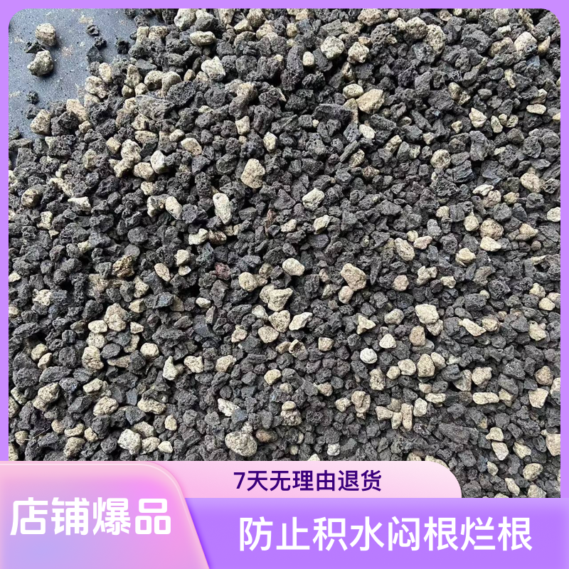 微元素天然优质养花石防止积水闷根烂根营造盆土生根环境盆栽远志