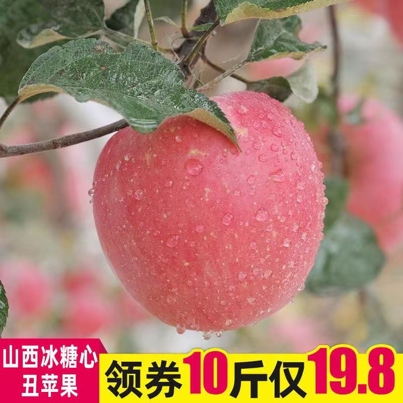 【新店福利】山西脆甜红富士丑苹果脆甜多汁10斤产地直发