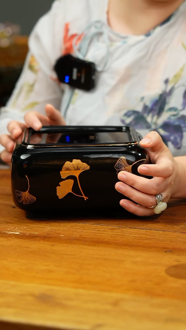 【闪购商品】莺歌烧/四方银杏电陶炉