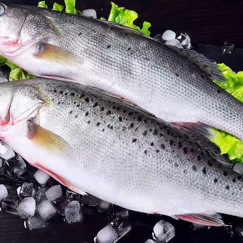 A【木大姐专属】冷冻海鲈鱼 去内脏鱼肉细腻  到手18条 100-150g/条