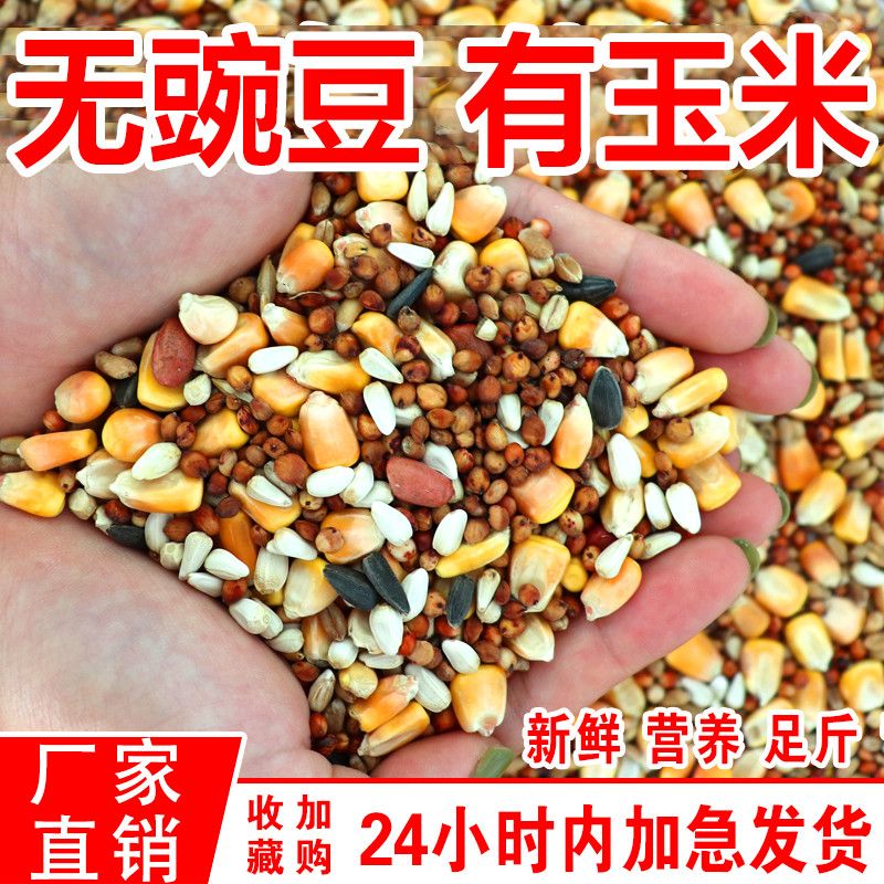 【无豌豆有玉米】鸽子粮营养饲料鸟食信鸽赛鸽肉鸽成鸽粮鸽粮