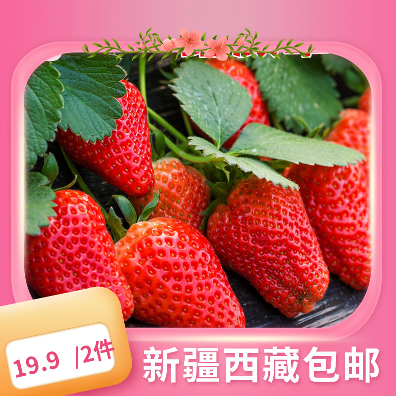 (新疆西藏包邮)奶油草莓种籽子盆栽南方四季牛奶油红颜莓种子子