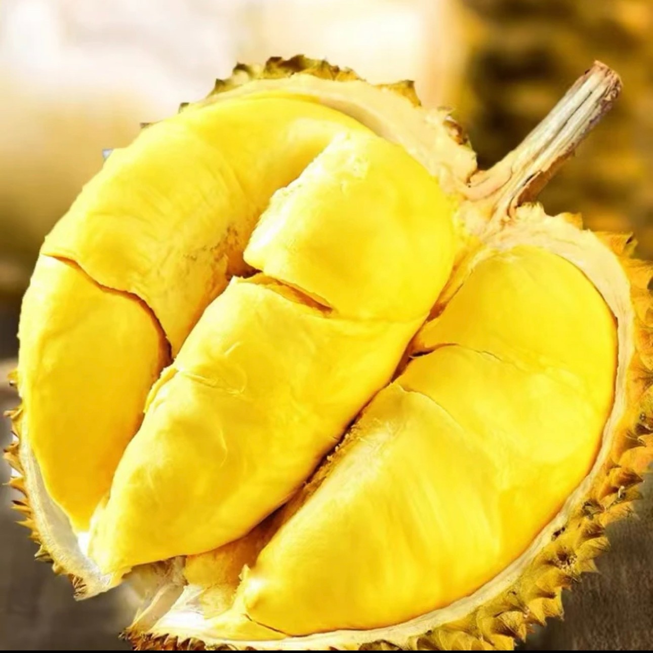 1号 高州同城小时达 马菲斯泰 金枕榴莲