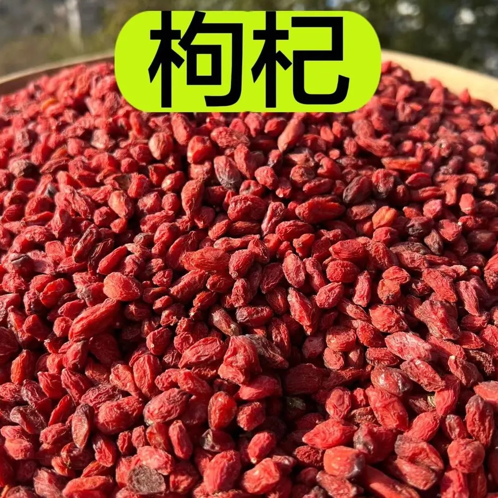 高山野枸杞无硫磺熏  自然晒干（250克）