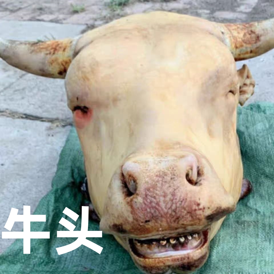 【牛头】恩施黄牛整个牛头牛腱子肉带现宰顺丰冷链牛腱子肉生鲜