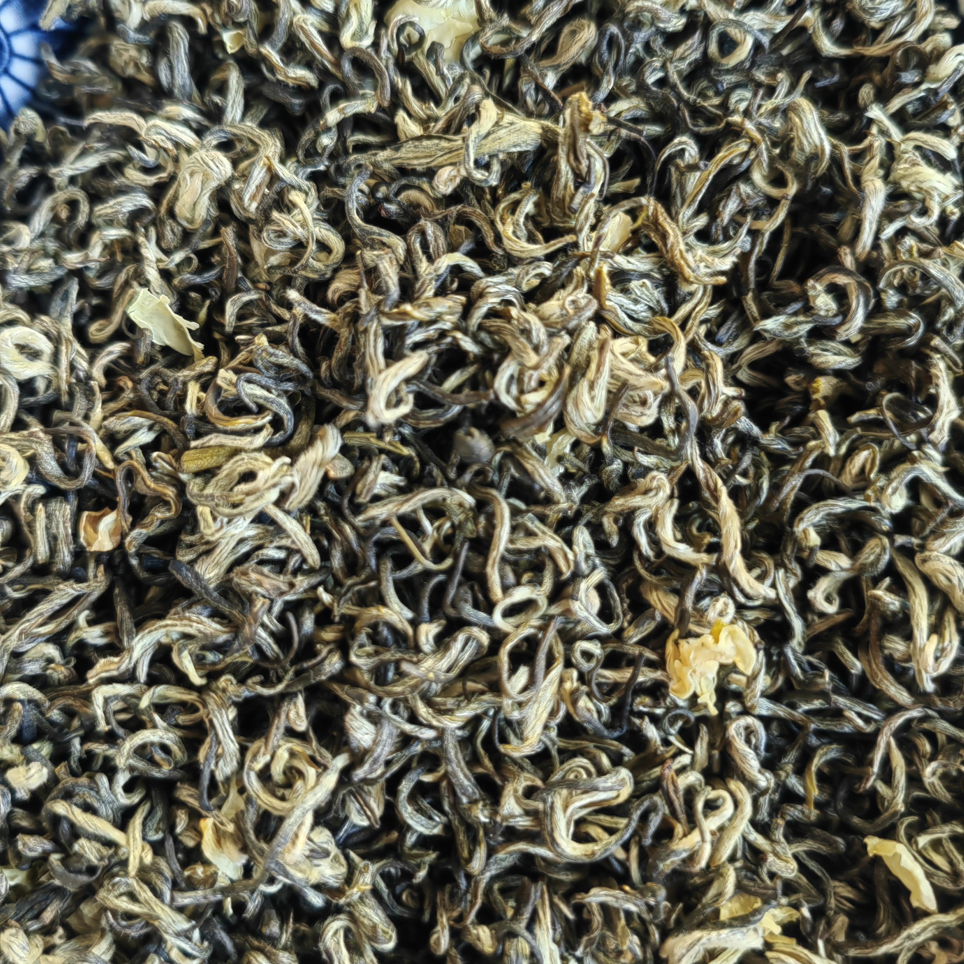 茉莉花茶飘雪， 2024正宗雅安浓香煞口耐泡 ，芽头均匀