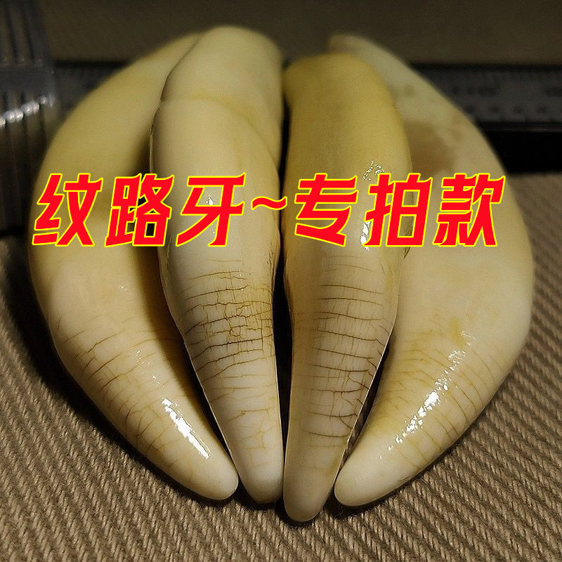 非金属吊坠 灰灰纹路牙吊坠狼牙纹路牙项链精品纹路牙挂件~专拍款