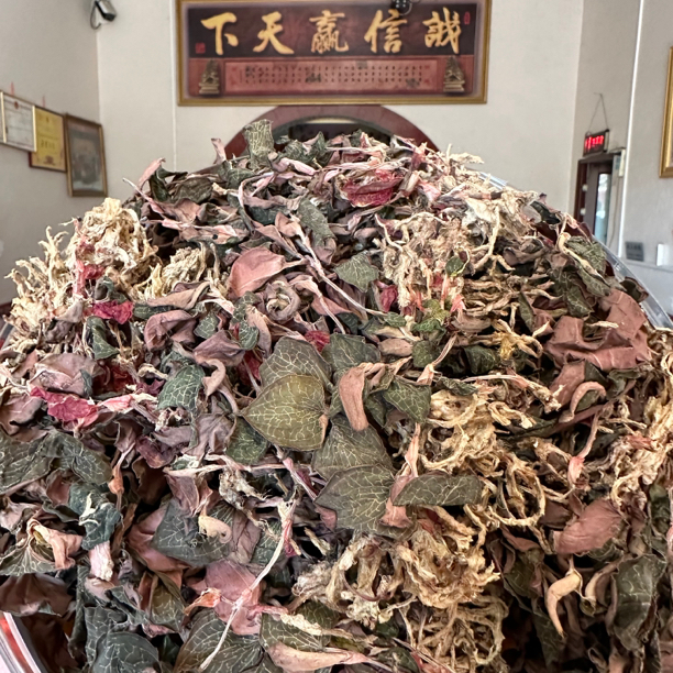 金线莲福利 直播间专属