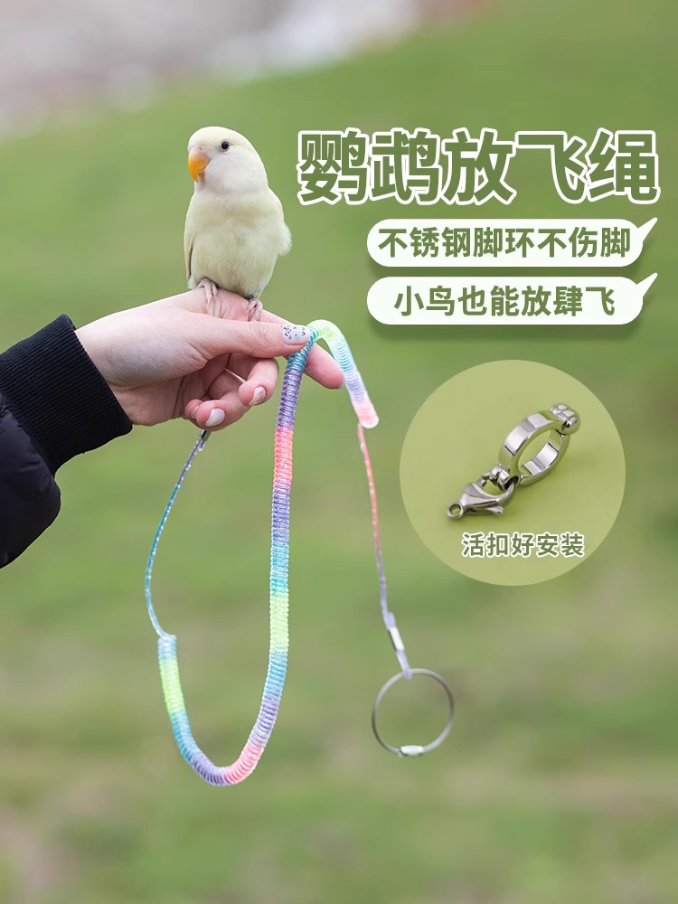 鹦鹉放飞绳鹦鹉脚链不伤脚鹦鹉牵引绳鹦鹉遛鸟绳超轻鸟链子飞行绳