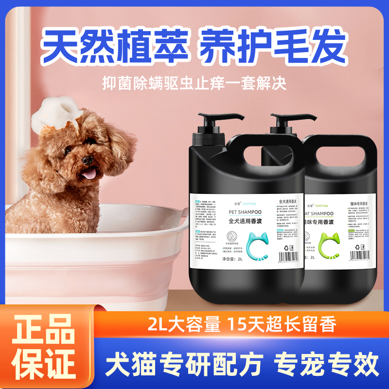 天望除味专用猫咪适用洗澡沐浴露持久留香抑菌护毛素香波抑菌除臭