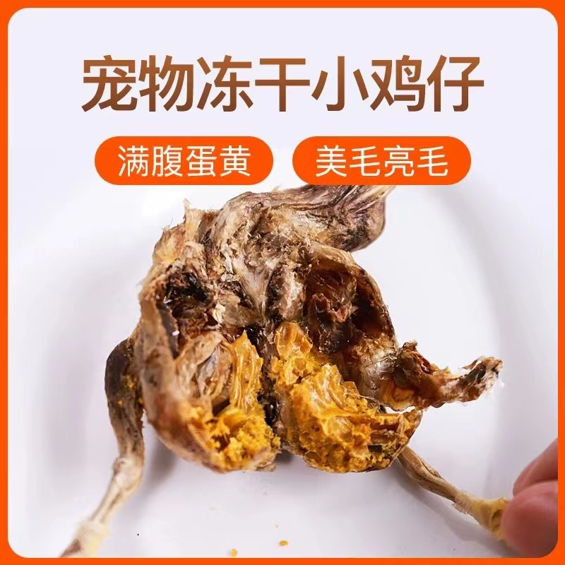 通用磨牙狗狗零食宠物猫零食鸡小仔宠物食品非鹌鹑冻干小鸡仔增肥