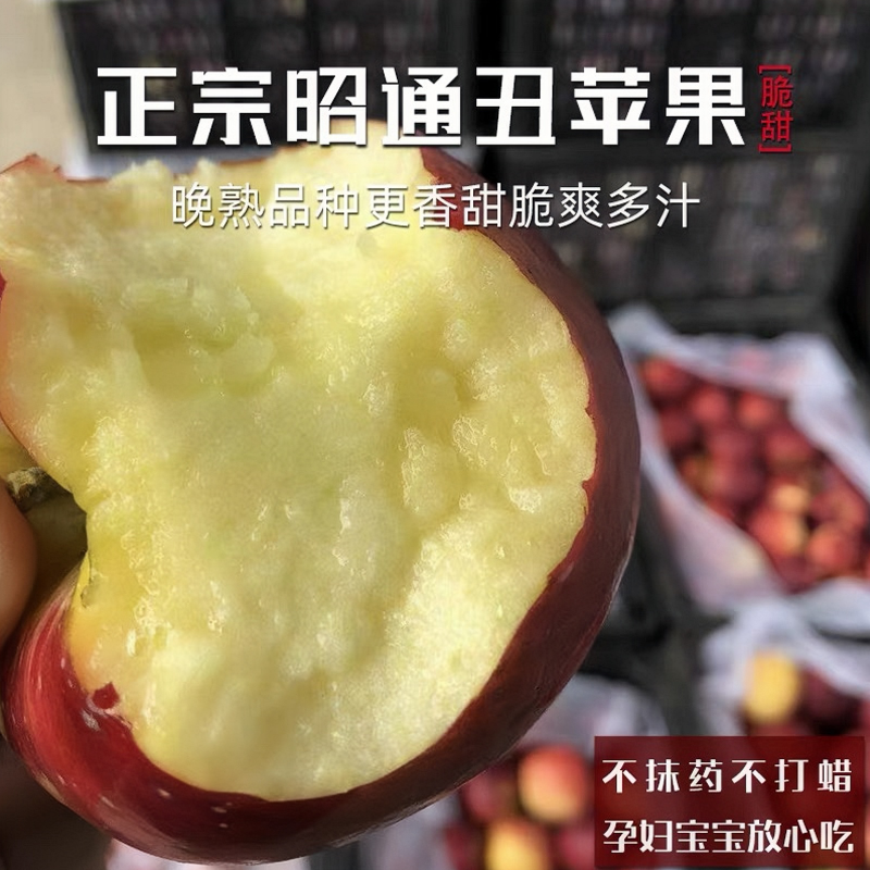 云南昭通大果冰糖心多汁丑苹果送礼晚熟当季新鲜水果脆甜现摘现发