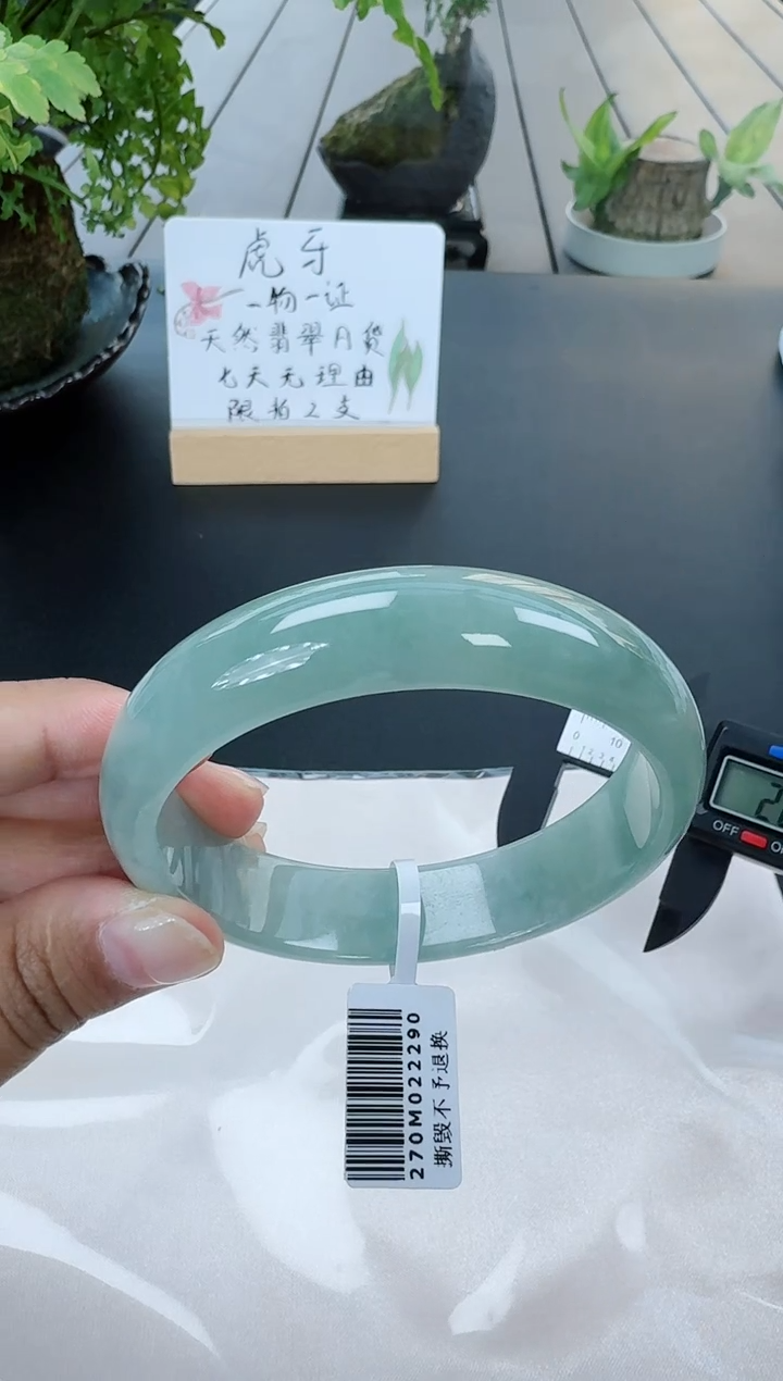 【闪购商品】翡翠手镯未镶嵌翡翠手镯圈口59.5