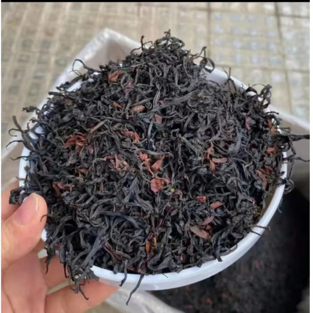 2025高黎贡山小云盘千年野生古树晒红（单株）-12.17号